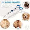 Pet Grooming Scissors Flat Scissors Upward Curved Downward Curved Cat and Dog Grooming Hair Scissors Pet Scissors