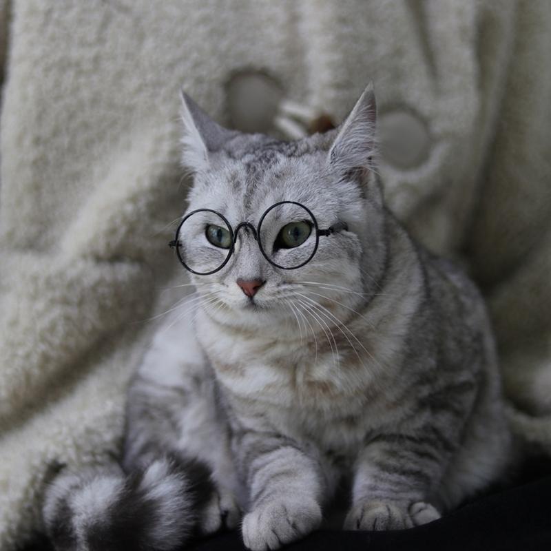 Фотоаксессуары для косплея в стиле "Кошачий глаз" Очки с прозрачными линзами Круглые Забавные Прозрачные круглые линзы Очки Круглые Очки Подарок для питомца Щенка