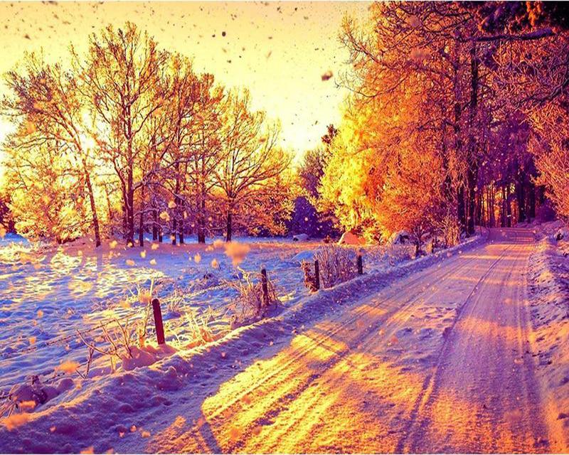 Алмазная живопись Новый Пейзаж Красные Цветы 5D Алмазная Вышивка Крестом Закат Панда Белый Тигр Животные Стразы Мозаика Настенное Искусство