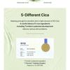 TORRIDEN Балансирующий Cica Tone Up Солнцезащитный крем