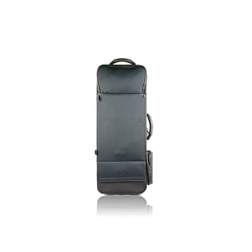BAM Trekking Case for Tenor Saxophone, Black, 3022SN
