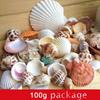 100g Natural Conch Shell Starfish Aquarium Aquascape Hermit Crab Shells Drift Bottle Material Home Decoration Ornaments Gift