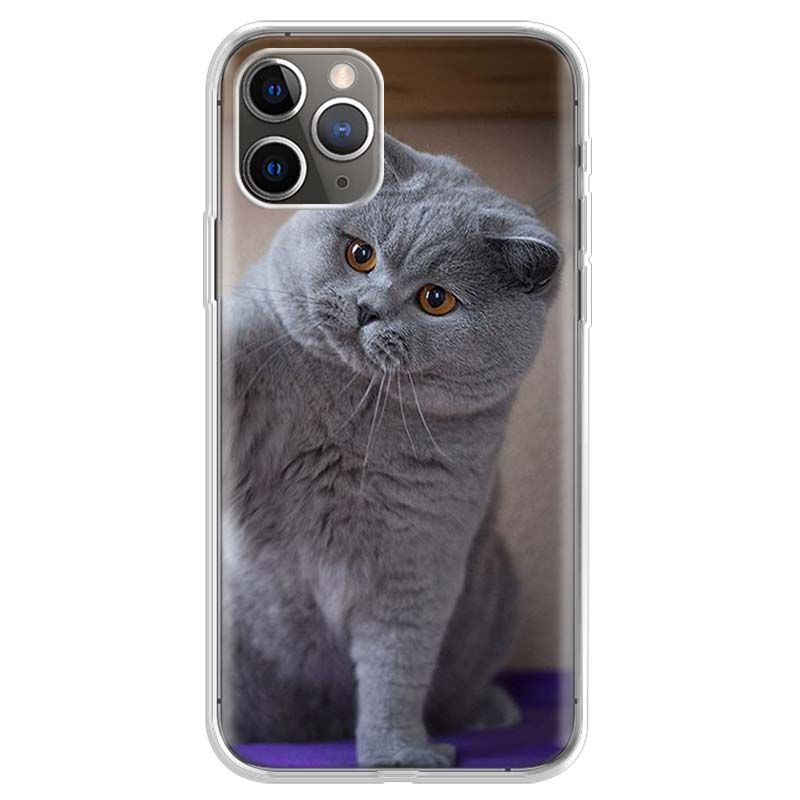 British Shorthair Cat Phone Case For iPhone 17 Air 11 13 Mini 14 15 Plus 16 12 Pro Max 16E SE 7 8 Pattern Soft TPU Back Cover 1
