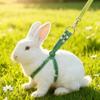 Escape Proof Guinea Pig Harness Soft Ferret Anti Loss Rope Ferret Harness Leash Pet Running