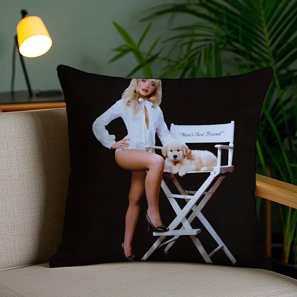 Sabrina Carpenter Pillow Case Anti-Dustmite Invisible Zipper Sofa Bed
