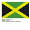 90x150CM Jamaica National Flag Double-side Fade Proof Wrinkle Free Sun-resistant Metal Grommets Polyester Large JM Banner Indoor Outdoor Garden