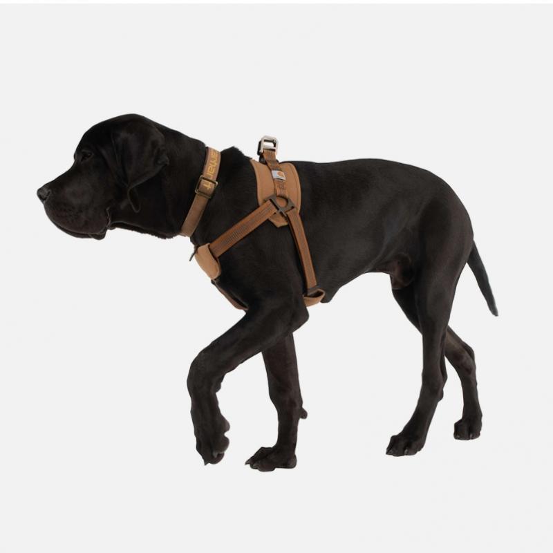 carhartt Carhartt  P0000341  Training Dog Harness Brown 94660 94660