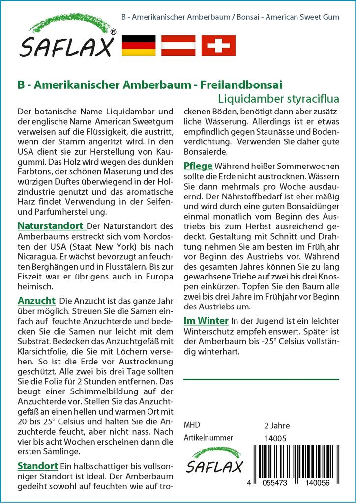 SAFLAX Garden in the Bag - Бонсай - American Sweet Gum - 100 семян - С субстратом в подходящем пакете - Liquidamber styraciflua