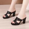 Fashion Women High Heels Summer Slippers Woman Open Toe Casual Block Heel Platform Genuine Leather Shoes 32-43 Women Sandals