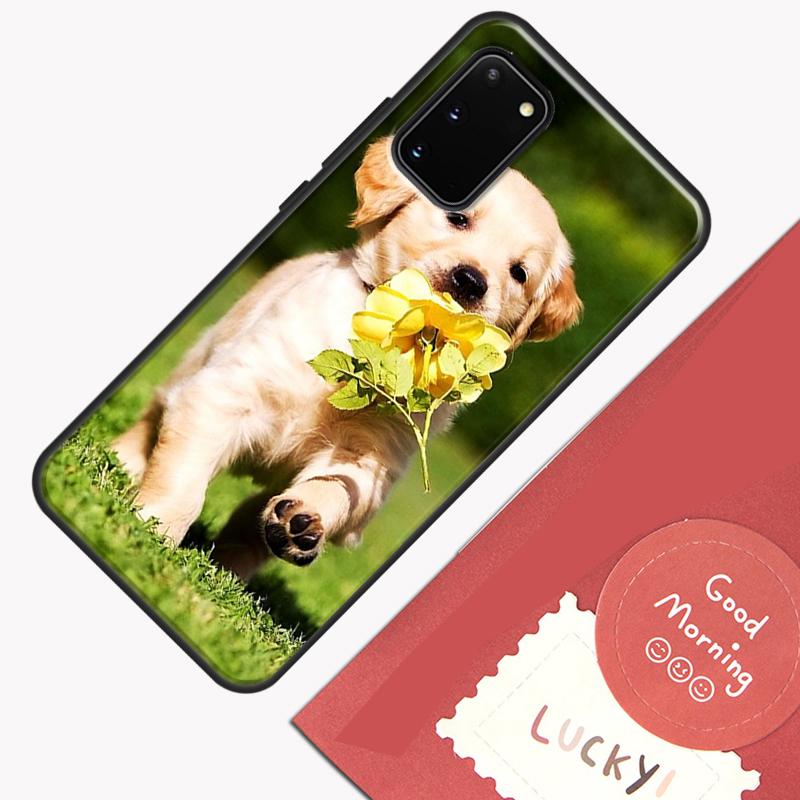 Golden Retriever Dog Phone Case For Samsung Galaxy S24 S26 Ultra S20 S21 S22 S23 S25 Plus S10 S25 FE Cover Shell