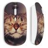 Беспроводная мышь Cute Cat