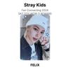 Stray Kids Фан-коннект 2024 SKZ TOY WORLD REWARD Официальная фотокарточка