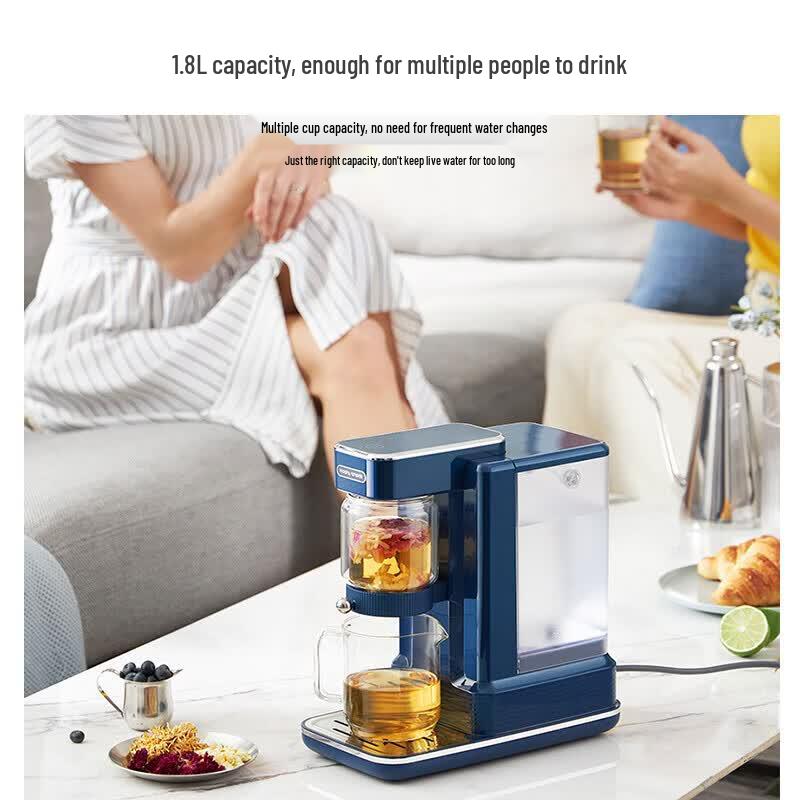 Morphy Richards Instant Hot Water Dispenser and Tea Brewer CN plug (adapter included)