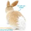 VIAHART [Tiger Tale Toys] Ridley Rabbit Plush Toy, Realistic 11-inch (27cm) Pet Rabbit, Cute Bunny [Official Japanese Product]