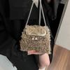 Niche Lamb Furry Bag Женская новая осенне-зимняя сумка с плюшевой текстурой через плечо Сумка-цепочка Изысканная маленькая сумка с мехом