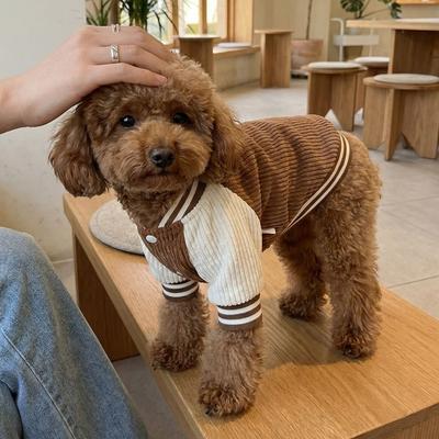Теплые Бейсбольные Куртки для Питомцев Удобные Вышитые Узоры Двухлапые Собачьи Одежды Утолщенный Собачий Свитшот Для Ежедневных Прогулок