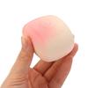 Sensory Puppy Steamed Buns Squishy Toy Release Hand Slow Rebound Vent Toy  Sensory Play