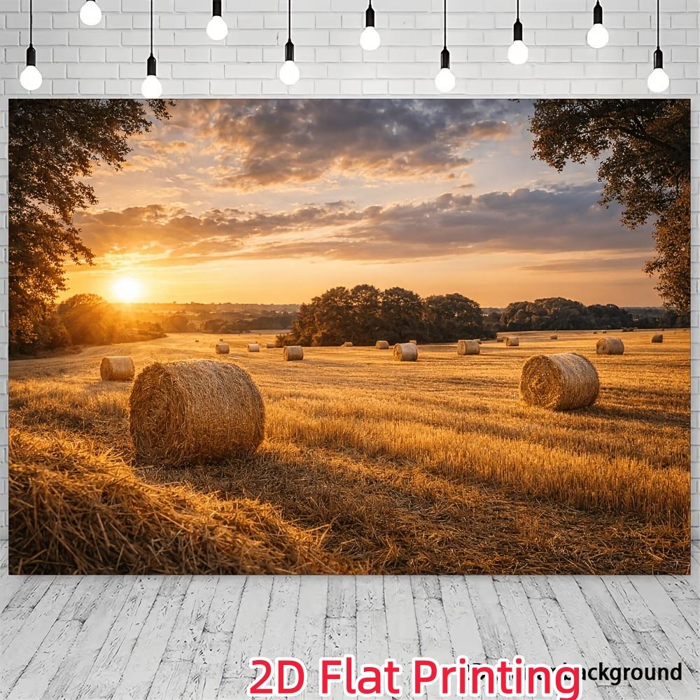 One photography backdrop, suitable for weddings, birthdays, harvest parties, Christmas and seasonal decorations