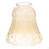 Glass Bulb Guard Lamp Cage, for Pendant Light, Holder, Ceiling Fan Covers Vintage Style - 6, As