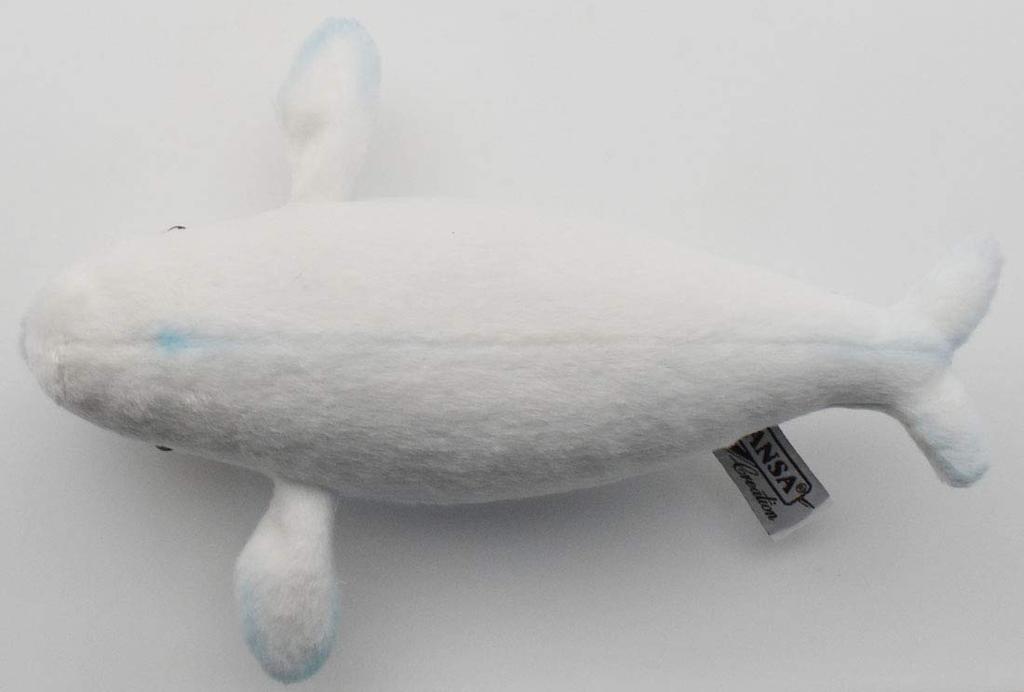 BH6651 HANSA Beluga 25