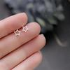 Small and Fresh Hollow Five-pointed Star Earrings Korean Version Simple and Versatile Earrings for Women