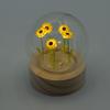 2x Floral Glow Garden Dome – 5 Sunflowers – LED Battery