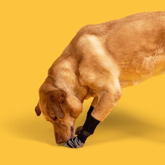 4 шт. носки для домашних животных, противоскользящие зимние носки для собак с регулируемым ремешком, удобные защитные приспособления для лап, товары для домашних животных