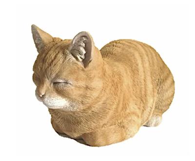 Ароматическая коробка Кот