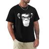 Evil Monkey Tshirt Sun Protective Outdoor Tee Top