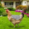 Adjustable Chicken Saddle Anti-Pecking Poultry Apron Back Cover Hen Apron  Healthy Growth