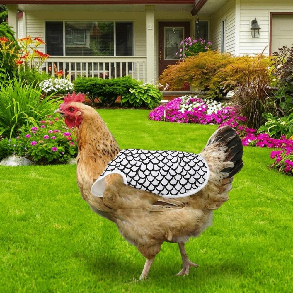 Adjustable Chicken Saddle Anti-Pecking Poultry Apron Back Cover Hen Apron Healthy Growth