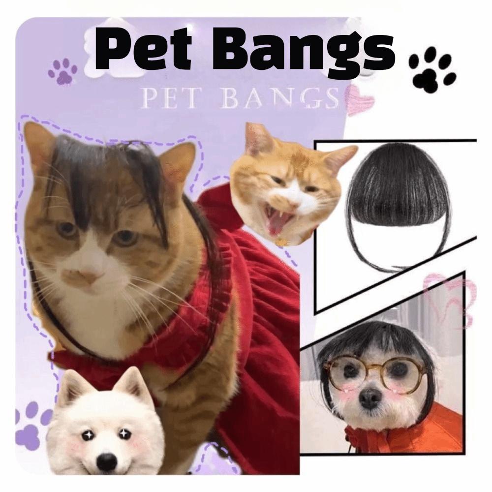 Fluffy Texture Pet Wig Bangs Style Dog Wig Funny Props Cosplay Wig Dress Up