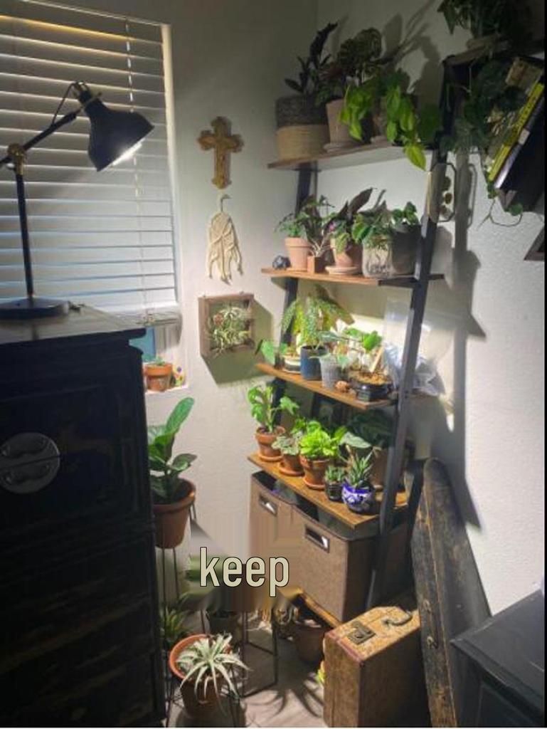 Светодиодная лампа полного спектра PAR38 для выращивания - 30 Вт/35 Вт для суккулентов, цветов, овощей и зеленых растений, 98 CRI.