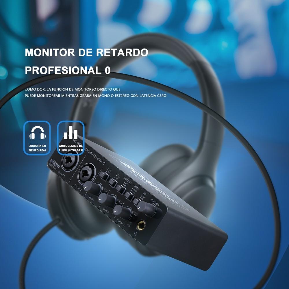 USB Аудиоинтерфейс U202 с Микрофонным Предусилителем, Порты XLR/TSR/TS, Профессиональное Устройство для Компьютерной Записи и Стриминга, 32-Бит/192 кГц