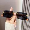 Cheetah Decor Metal Sun Glasses Vintage Gradient Eyewear Trendy Square Shades for Women & Men