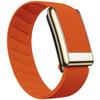 Whoop 5.0 Nylon Elastic Sport Band with Shiny Metal Frame (Gold/Silver)