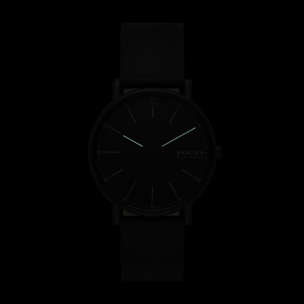Skagen Signatur SKW6902 Wristwatch