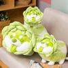 1pc 25 /30 /35cm Cute Vegetable Dog Plush Toys Creative Chinese Cabbage Shiba Inu Pillow Stuffed Animal Sofa Cushion Baby Gifts