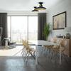 Felix Black/Gold Ceiling Lamp 1Xe27