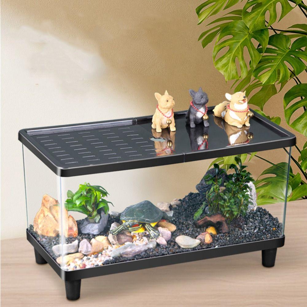 Transparent Reptile Terrarium Visual Reptile Habitat Insect Observation Box Amphibians