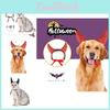 Adorable Black And Red Felt Devil Horns Headband For Pets Perfect For Halloween Parties