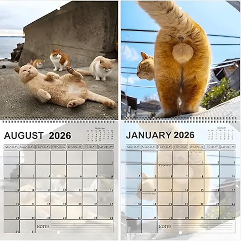 2026 Cats Buttholes Wall Calendar - Hilarious Cat Calendar A Fun Novelty Item For Cat Enthusiasts And Gift Seekers Home Decor