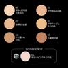 KATE Kate Skin Cover Filter Foundation 02 Standard Skin 13g (x 1)