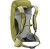 Рюкзак Deuter AC Lite 24 linden/cactus (3420824-1206)