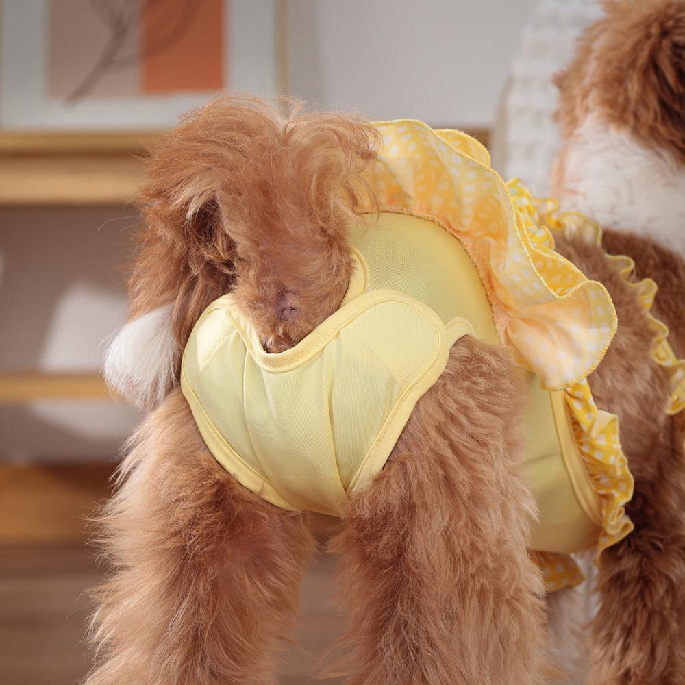 Симпатичные женские физиологические штаны для собак с кружевом, моющиеся трусики для домашних животных, защитные шорты для собак, шнауцеров, пуделей, кошек, товары mascotas