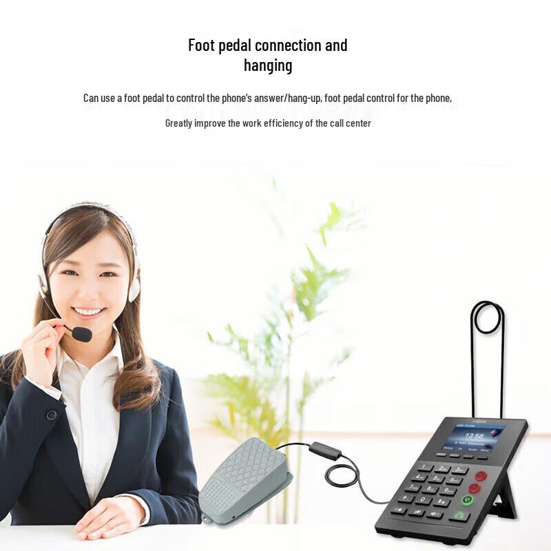 Fanvil X2P IP Phone (CN version)