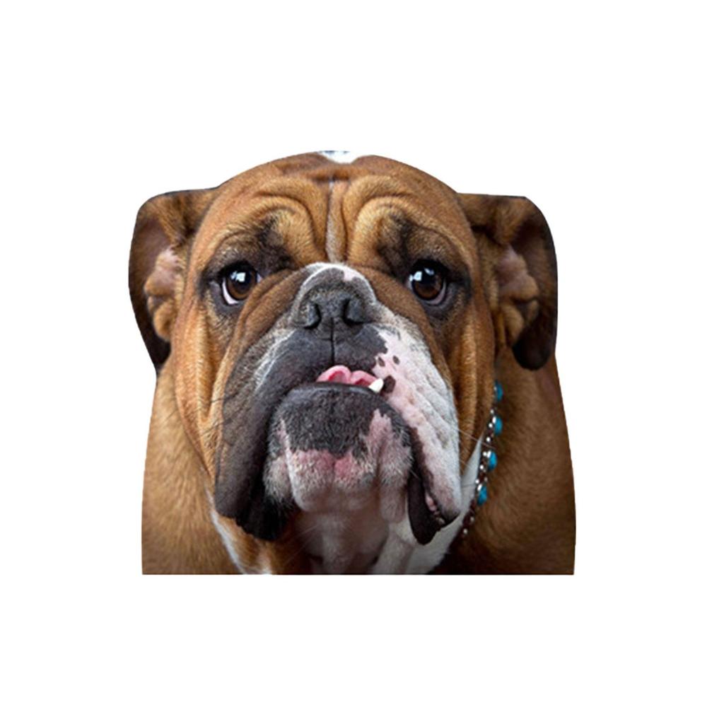 Наклейки на оконное стекло автомобиля, наклейка на автомобиль серии животных