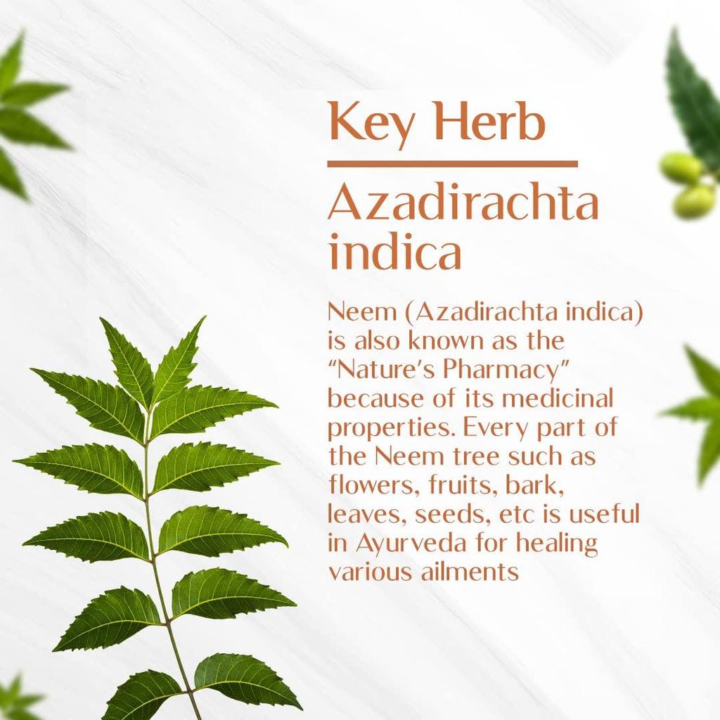 Maharishi Ayurveda Органические таблетки Ним 500 мг | Натуральный очиститель крови | Улучшает здоровье кожи | 60 таблеток (Упаковка из 2 шт.)