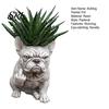 Bulldog Face Planter Funny Pot Novelty Middle Finger Dog Flower Cute Animal Garden Statue for Outdoor Indoor Office Desk Decor Patio Plant