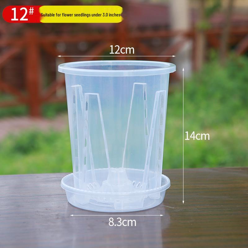 Transparent Breathable Flower Pot for Phalaenopsis and Dendrobium - Root Control Design